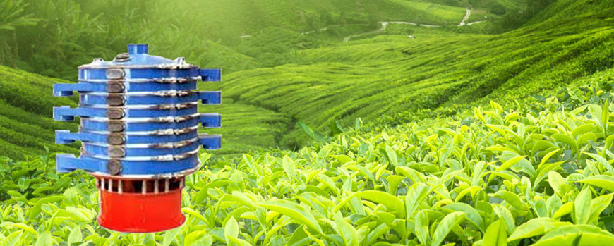 Vibrating Screen Tea Sorter